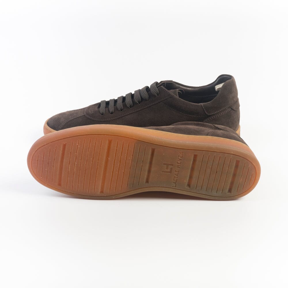 OFFICINE CREATIVE - Sneakers - Ginnasio - Camoscio Moro
