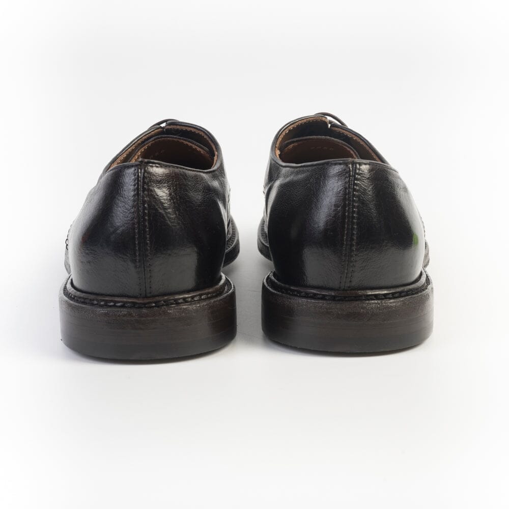 GREEN GEORGE - Allacciata - Arezzo 8050 - Moro Scarpe Uomo Green George