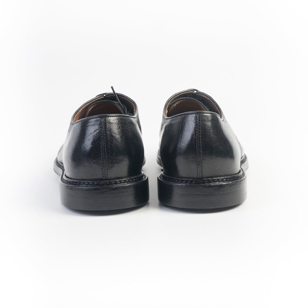 GREEN GEORGE - Derby - 8050 - Nero Scarpe Uomo Green George 